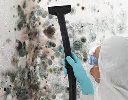 Best Attic Mold Removal in Port Neches, TX